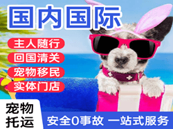 北京首都航空运输国际宠物托运 【国